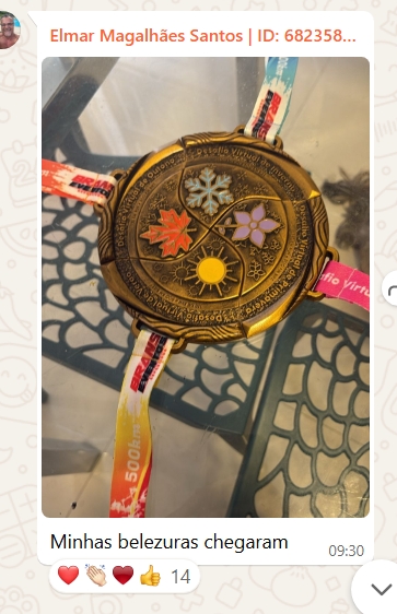 Captura de tela_22-7-2025_205958_web.whatsapp.com